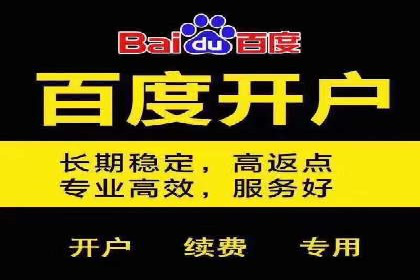 某零售企业通过百度竞价排名服务提升销售额的秘诀